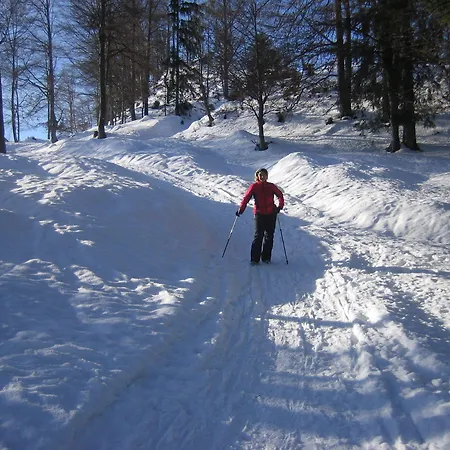 Appartamento Wohnlich Bruennstein Auerbach (Oberaudorf)